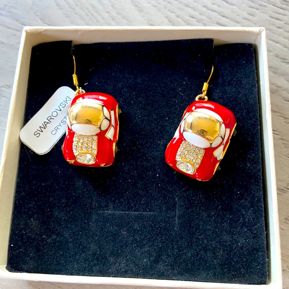 Brand New Earrings